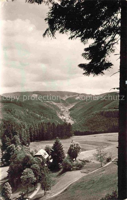Triberg Schwarzwald BW Lindengrund Schwarzwald Tal Wald Wiesen Haus Panorama