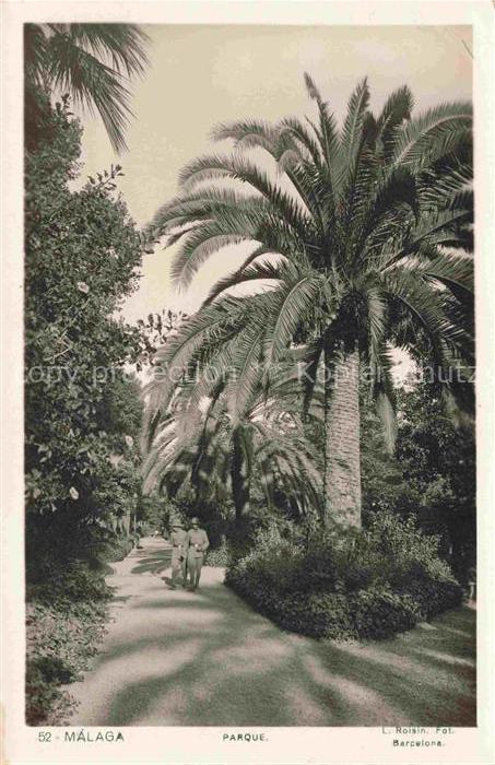 MALAGA Andalucia ES Parque Palmen Park Allee Spaziergaenger Vegetation