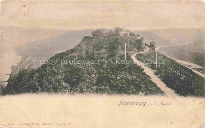 Marienburg (Burg) Mosel Puenderich Rheinland-Pfalz Marienburg Mosel Weinberg Fel