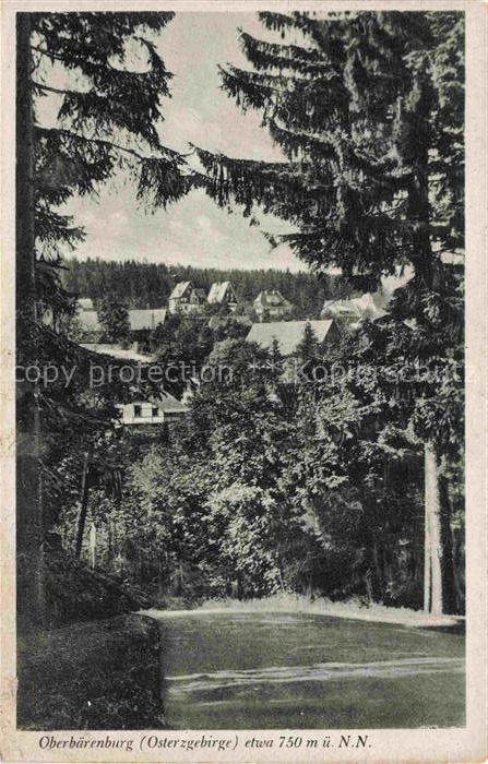 Oberbaerenburg Baerenburg Oberbaerenburg Osterzgebirge Waldvillen Tannen Wald Be
