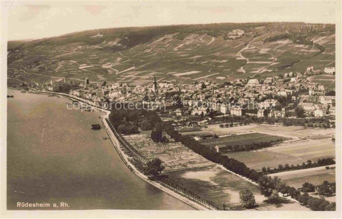 RueDESHEIM am Rhein Hessen Rhein Weinberge Ortschaft Kirchturm Uferstrasse Felde