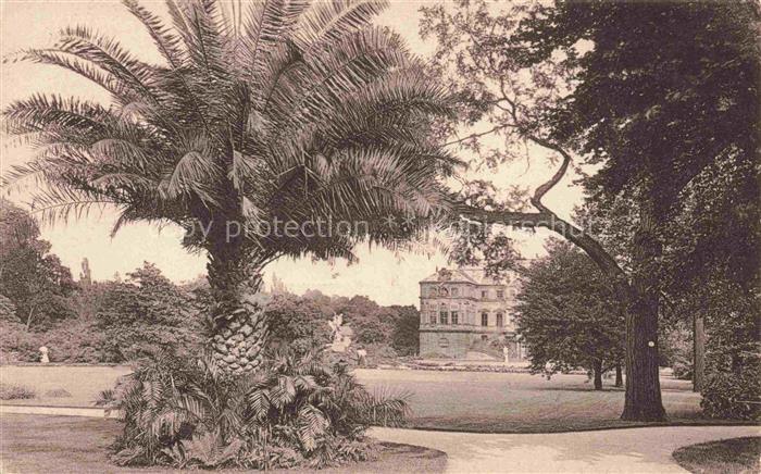 DRESDEN Elbe Grosser-Garten Palais Palmenbaum Park Wiese Skulptur Baeume