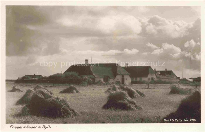 SYLT Insel Schleswig-Holstein Friesenhaeuser Reetdach Stroh Felder Nordsee Insel