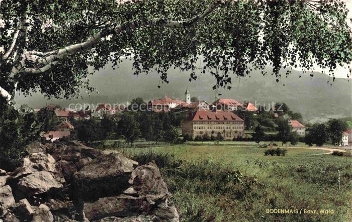 Bodenmais Regen Bayern Bayerischer-Wald Stadtpanorama Kirche Baeume Berge Wiesen