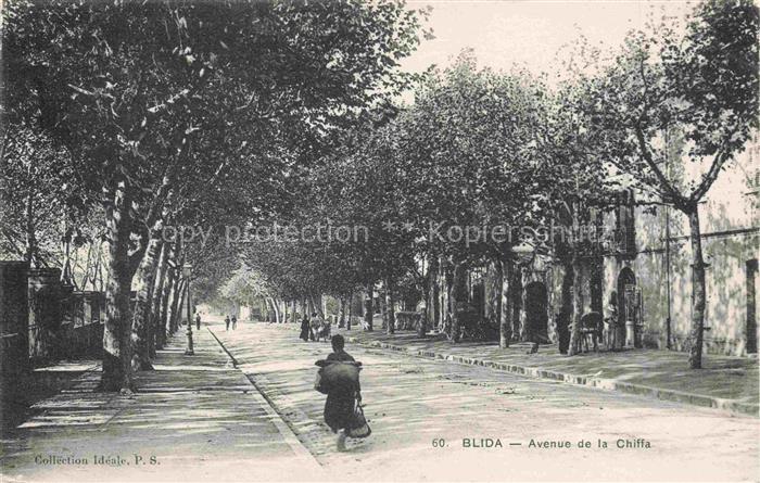 Blida Blidah Algerie Avenue-de-la-Chiffa Allee Baeume Passanten Strasse