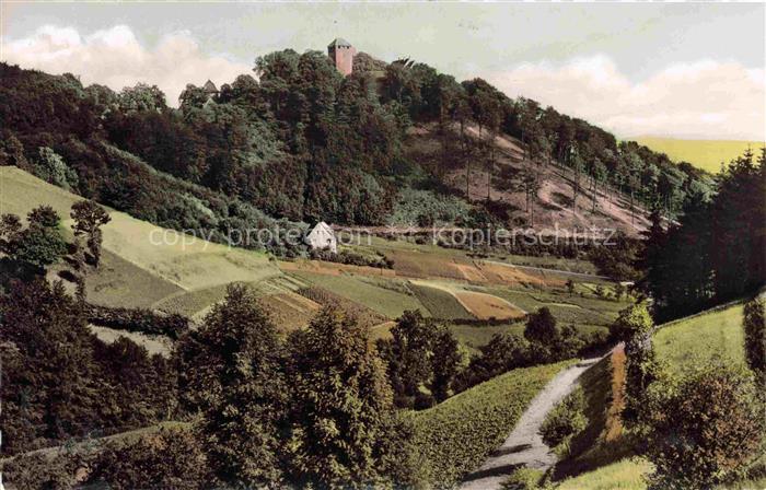 Hessisch-Oldendorf Niedersachsen Schaumburg Burg Weinberge Huegel Wald Landschaf