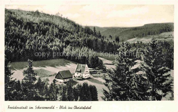 FREUDENSTADT BW Schwarzwald Christofstal Tal Wald Bauernhof Wiesen Nadelwald