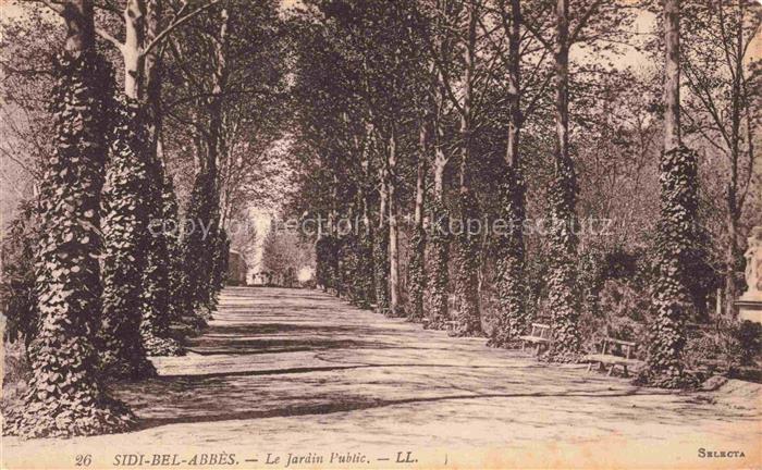 Bel Abbes Sidi Bel Abbes Algerie Jardin-Public Allee Baeume Promenade Baenke Efe