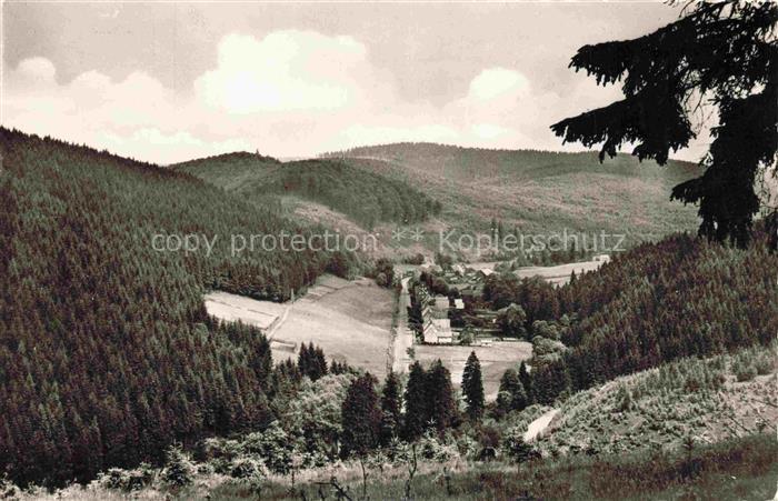 Riefensbeek-Kamschlacken Osterode Harz Niedersachsen Tal Nadelwald Berglandschaf