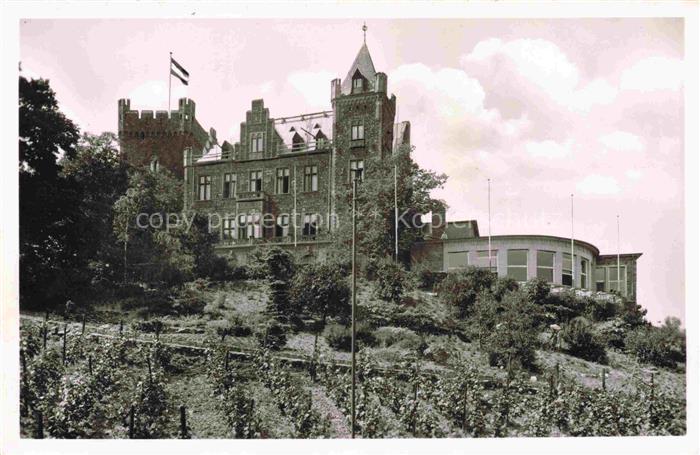 Bingen Rhein Rheinland-Pfalz Burg-Klopp Weinberg Burgturm Flagge Hang Baeume