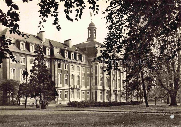 Muenster Schlossgarten Universitaet Schloss Barockgebaeude Park Baeume