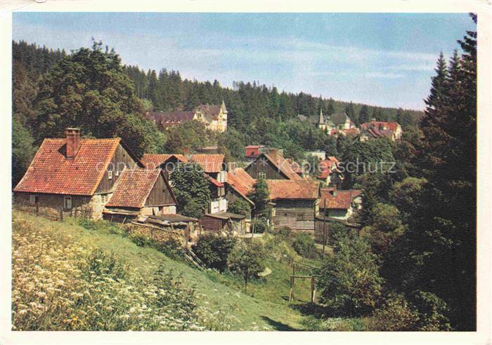 Schierke Harz Brocken Harz Ortsansicht Bauernhaeuser Wald Villen Wiese