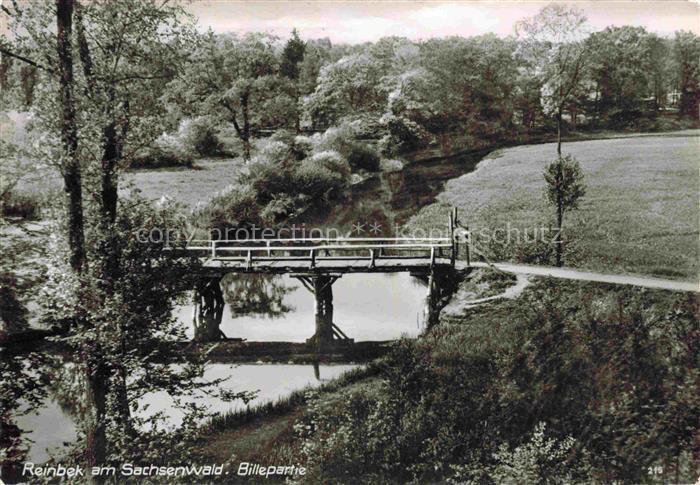 Reinbek Stormarn Schleswig-Holstein Sachsenwald Bille Bruecke Bach Wald Park Wie