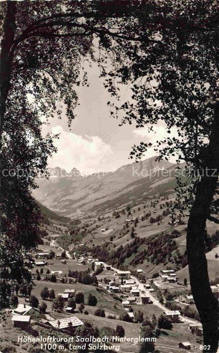 Saalbach -Hinterglemm Pinzgau-Pongau AT Hoehenluftkurort Saalbach-Hinterglemm Be