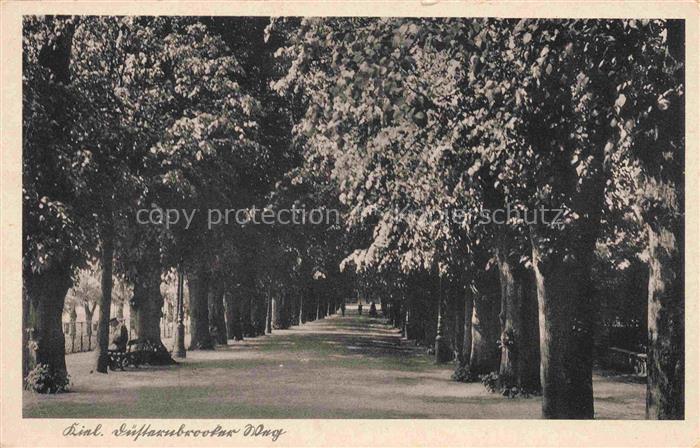 KIEL  CITY Duesternbrooker-Weg Allee Kastanienbaeume Promenade Passanten Baenke