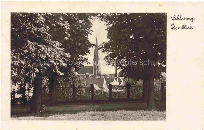 SCHLESWIG-CITY Holstein Dom Domblick Kirchturm Baeume Park Zaun Gotik