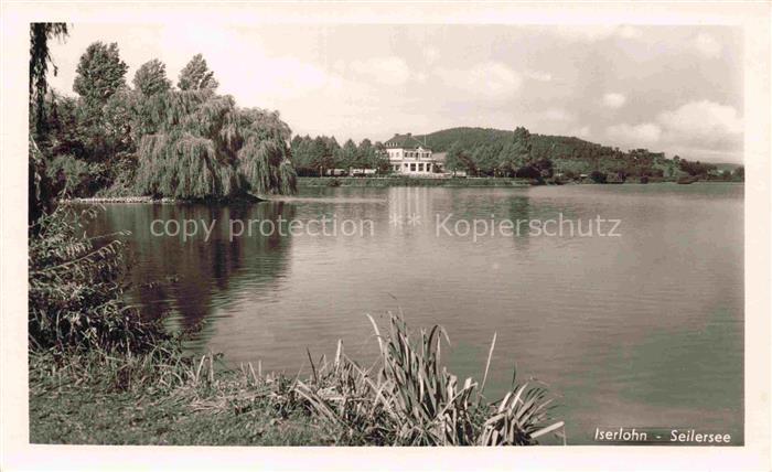 ISERLOHN NRW Seilersee See Trauerweide Villa Huegel Ufer Schilf