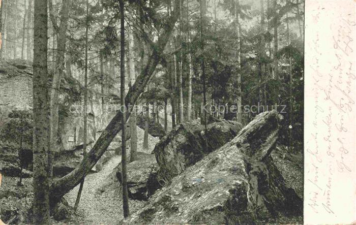 Boxdorf NueRNBERG Mittelfranken Bayern Wolfsschlucht Felsen Wald Nadelbaeume Fel