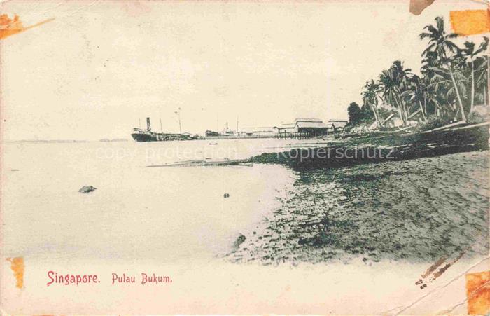 Pulau Bukum Singapore SP Pulau-Bukum Kueste Dampfschiff Palmen Pier Strand Insel