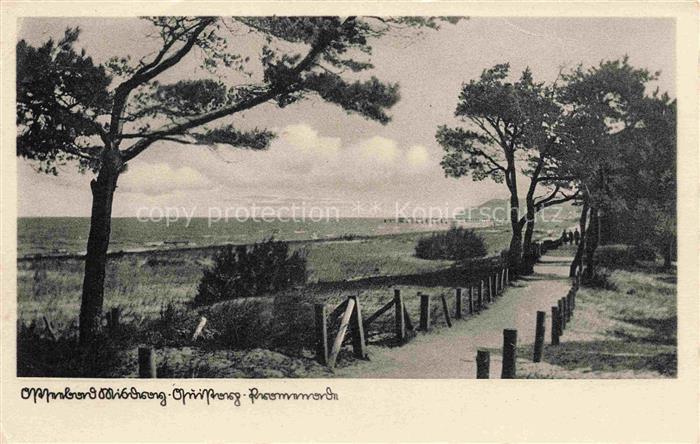 MISDROY Ostseebad Miedzyzdroje PL Kueste Promenade Duenen Kiefern Ostsee Seebrue