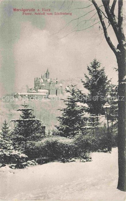 Wernigerode Harz Schloss Wernigerode-Schloss Lindenberg Winter Schnee Tannen Lat