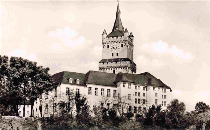 Kleve Niederrhein Schwanenburg Schloss Turm Uhrturm Baeume Huegel