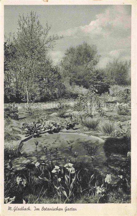 M Gladbach MoeNCHENGLADBACH NRW Botanischer-Garten Teich Blumen Baeume Park Iris