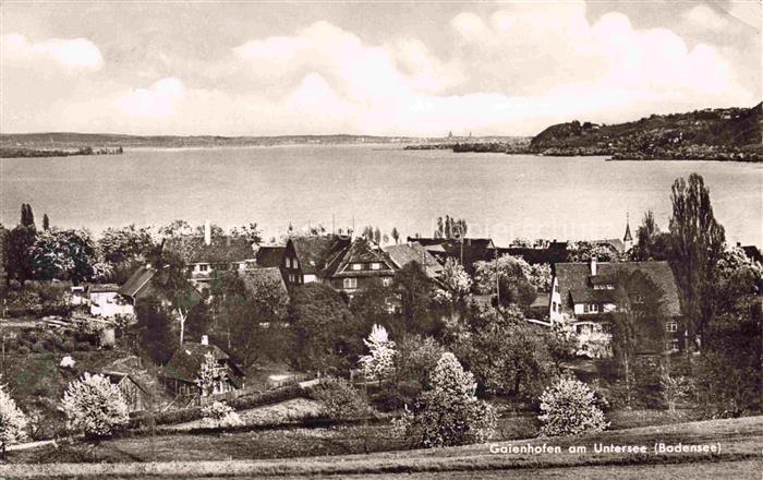 Gaienhofen KONSTANZ Bodensee BW Untersee Bodensee Ortschaft Wohnhaeuser Baeume S
