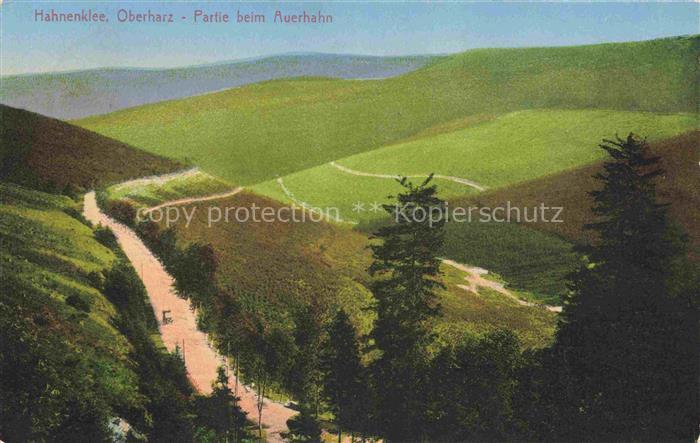 Hahnenklee-Bockswiese Harz Auerhahn Oberharz Strasse Tannen Huegel Landschaft ko