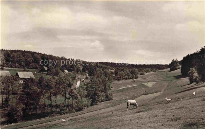 Mulda Erzgebirge Sachsen Kuh Weiden Wald Haeuser Tal Huegel Felder