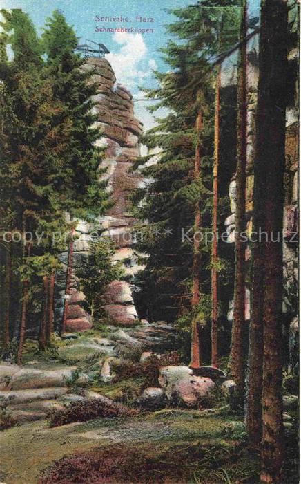 Schierke Harz Schnarcherklippen Felsen Wald Kiefern Harz Nadelwald