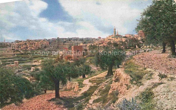 Bethlehem Yerushalayim Israel Stadtansicht Olivenbaeume Kirche Steingebaeude Te