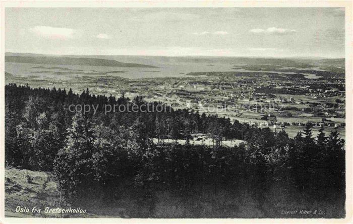 OSLO Norge Grefsenkollen Panorama Fjord Stadtansicht Wald Nadelbaum Vogelperspe