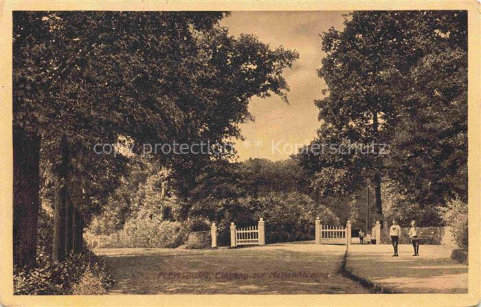 FLENSBURG  Flensborg Schleswig-Holstein Marienhoelzung Park Eingang Allee Baeume