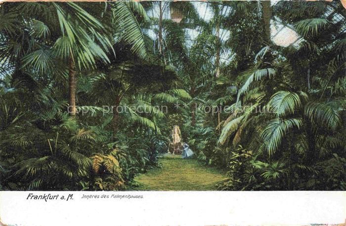 FRANKFURT AM MAIN Palmenhaus Palmengarten Palmen Gewaechshaus Tropenpflanzen Far