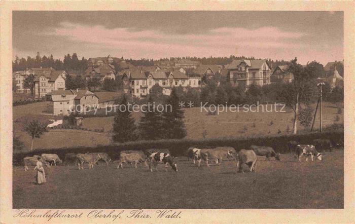 Oberhof Thueringen Hoehenluftkurort Thueringer-Wald Kuehe Weide Villen Panorama