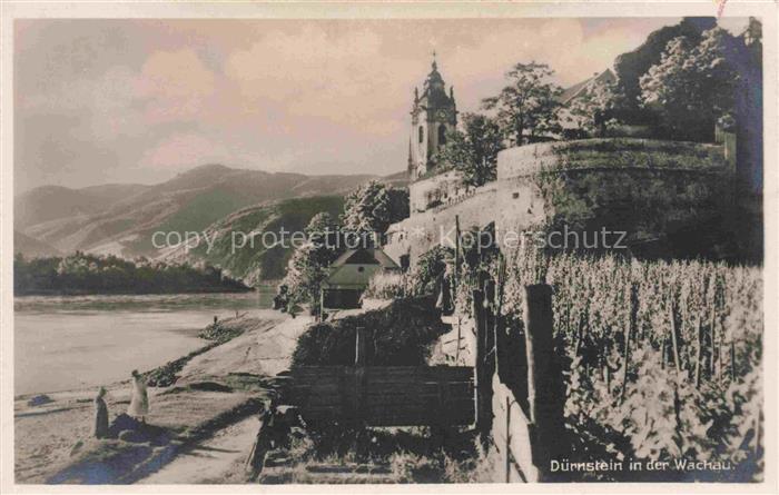 Duernstein Wachau Niederoesterreich AT Donau Stift Kirchturm Weinberg Ufermauer