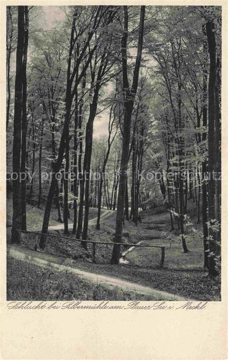 Silbermuehle Plau See Parchim Mecklenburg-Vorpommern Silbermuehle Schlucht Wald