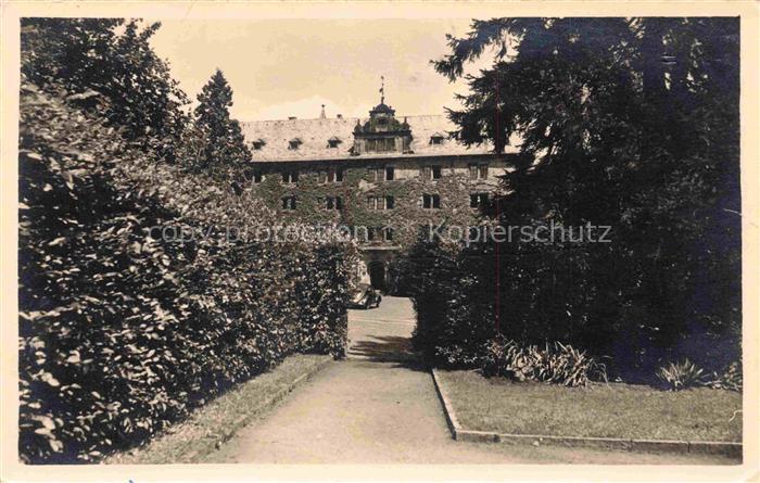 MARBURG  LAHN Landgrafen-Schloss Schloss Park Efeu Allee