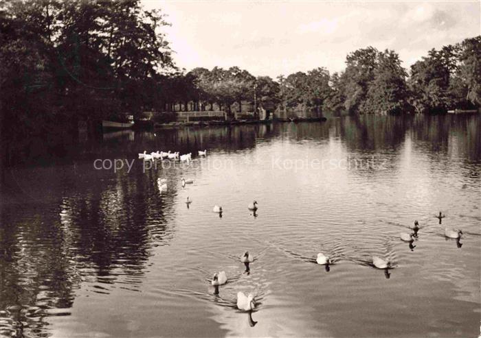BAD NAUHEIM Hessen Grosser-Teich Park See Schwaene Enten Baeume Parkanlage