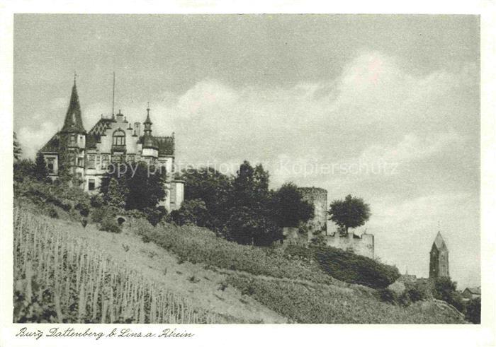Dattenberg Burg-Dattenberg Schloss Weinberg Ruine Kirchturm Huegel