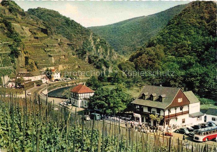 Walporzheim Bad Neuenahr-Ahrweiler Rheinland-Pfalz Bauernschenke Weinberge Ahrta
