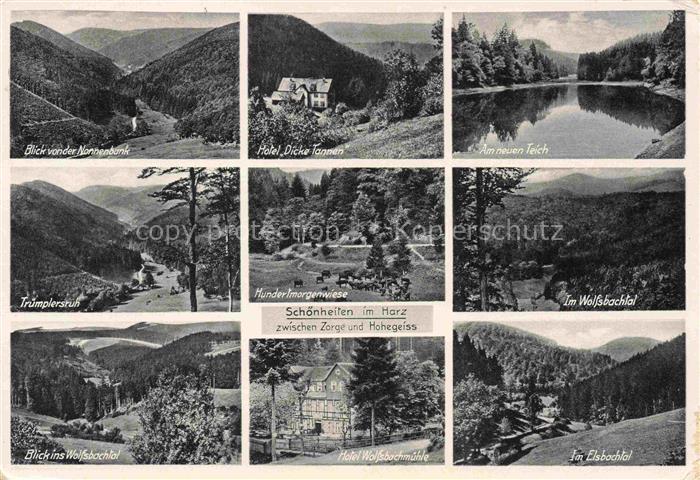 Zorge Harz Wolfsbachtal Hotel-Dicke-Tannen Hotel-Wolfsbachmuehle Hundertmorgenwi