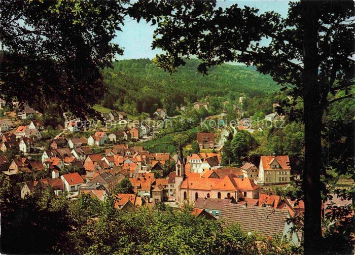 Heigenbruecken Aschaffenburg Bayern Ortsansicht Kirche Wohnhaeuser Wald Huegel T
