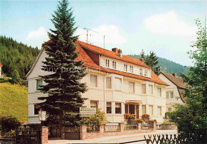 Wildemann Harz Goslar Niedersachsen Haus-Sonneck Hotel-Garni Spiegeltal Kurpark