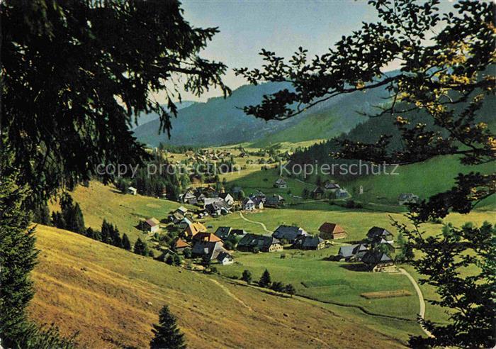 Menzenschwand Sankt Blasien BW Talansicht Weiler Schwarzwald Feldberg Hoehenluft