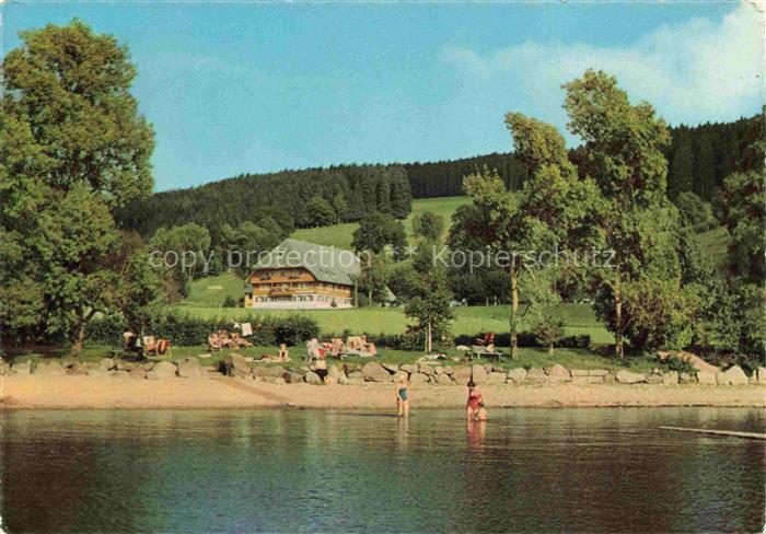 TITISEE Schwarzwald BW Pension-Seehof Titisee See Badestrand Schwarzwaldhaus Bad