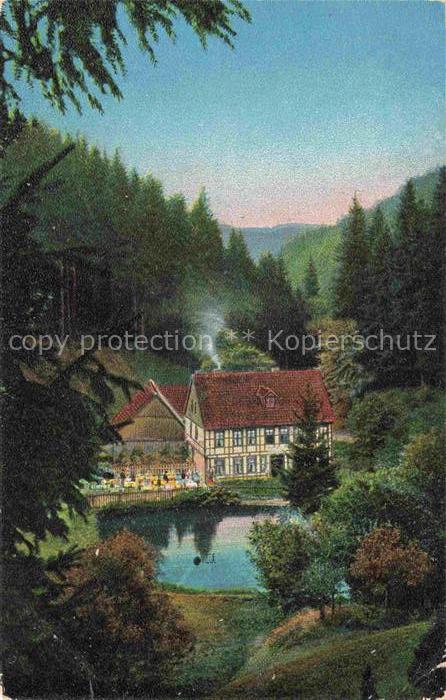Hohegeiss Braunlage Harz Niedersachsen Wolfsbachmuehle Oberharz Teich Wald Fachw