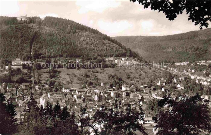 WILDBAD  Bad Schwarzwald BW Schwarzwald Sommerberg Stadtpanorama Talkessel Wald