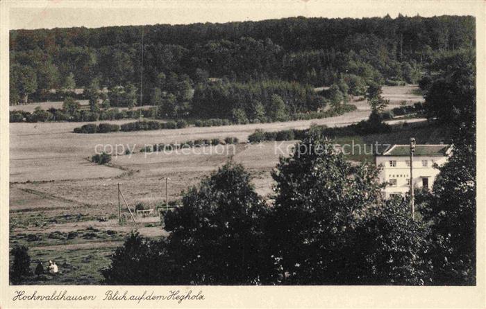 Hochwaldhausen Grebenhain Vogelsbergkreis Hessen Hegholz Felder Wald Panorama Er
